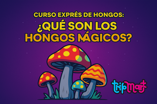 Curso Exprés sobre Hongos: ¿Qué son los Hongos Mágicos?