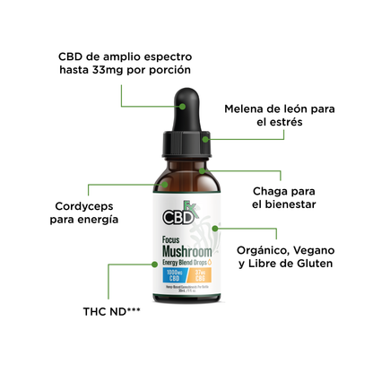 CBD MUSHROOMS FOCUS 