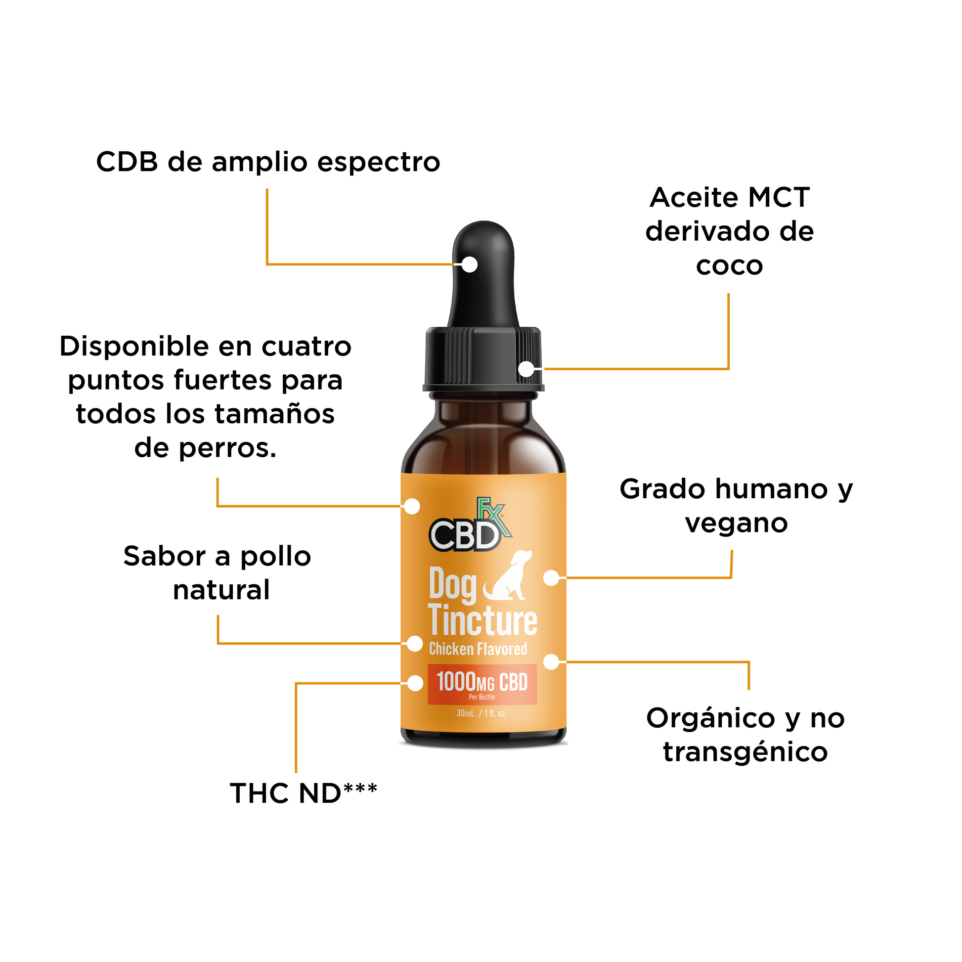 CBDfx Infografias Mascotas