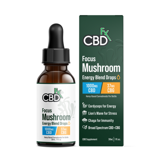 Focus mushroom cbd 1000mg