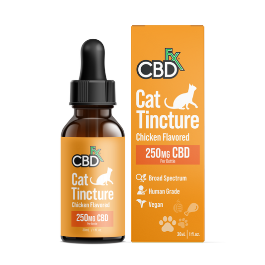 Tintura CBD 250mg para gatos